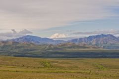 Denali