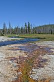 Black Sand Basin