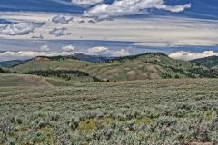 Blacktail Plateau 