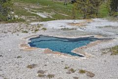 Blue Star Spring