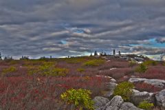 Bear Rocks overlook