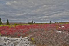 Bear Rocks overlook