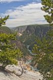 Grand Canyon of Yellowstone
