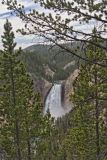 Grand Canyon of Yellowstone