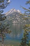 Grand Tetons