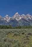 Grand Tetons