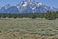 Grand Tetons