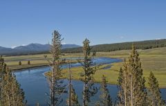Hayden Valley