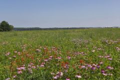 Huffman Prairie