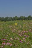 Huffman Prairie