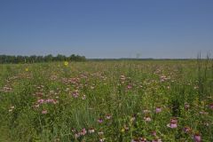 Huffman Prairie
