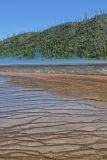 Bacteria Mat(Midway Geyser Basin)