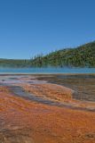 Opal Pool (Midway Geyser Basin)