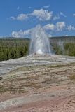 Old Faithful