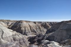 Views along the Blue Mesa Trail