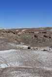 Petrified Wood in the landscape at Petrified Forest National Park
