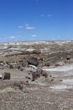 Petrified Wood in the landscape at Petrified Forest National Park