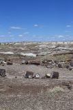Petrified Wood in the landscape at Petrified Forest National Park