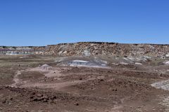 Petrified Wood in the Petrified Forest National Park