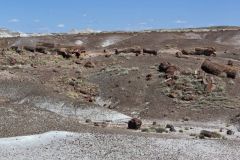 Petrified Wood in the landscape at Petrified Forest National Park