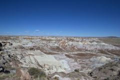 Petrified Wood in the landscape at Petrified Forest National Park