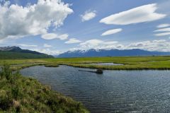 Potter's Marsh