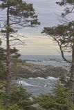 Quaddy Head State Park