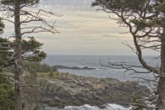 Quaddy Head State Park