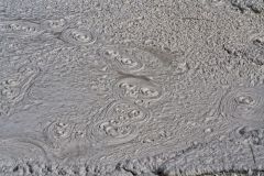 Artist Paintpots
